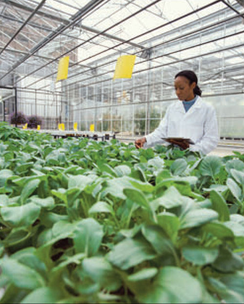 Du học cao đẳng ở Canada